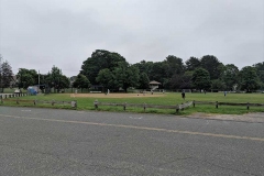 Central Park Field