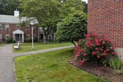 Wheeler Park Housing